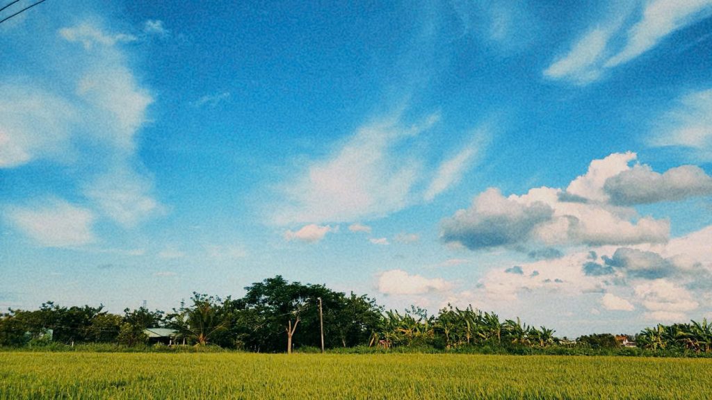 Khung cảnh quê hương đẹp tựa tranh, với đồng lúa xanh rì, con đường nhỏ uốn lượn và bầu trời trong vắt.